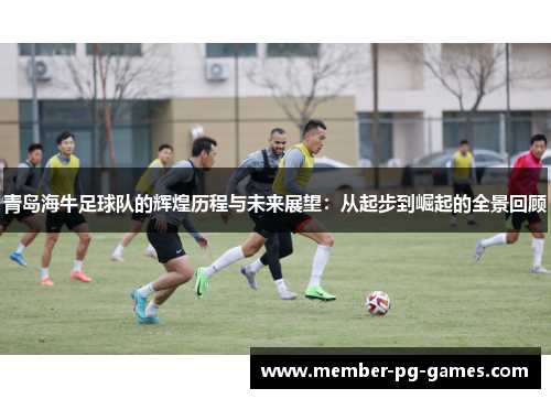青岛海牛足球队的辉煌历程与未来展望：从起步到崛起的全景回顾