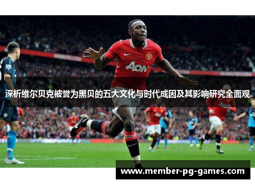 深析维尔贝克被誉为黑贝的五大文化与时代成因及其影响研究全面观